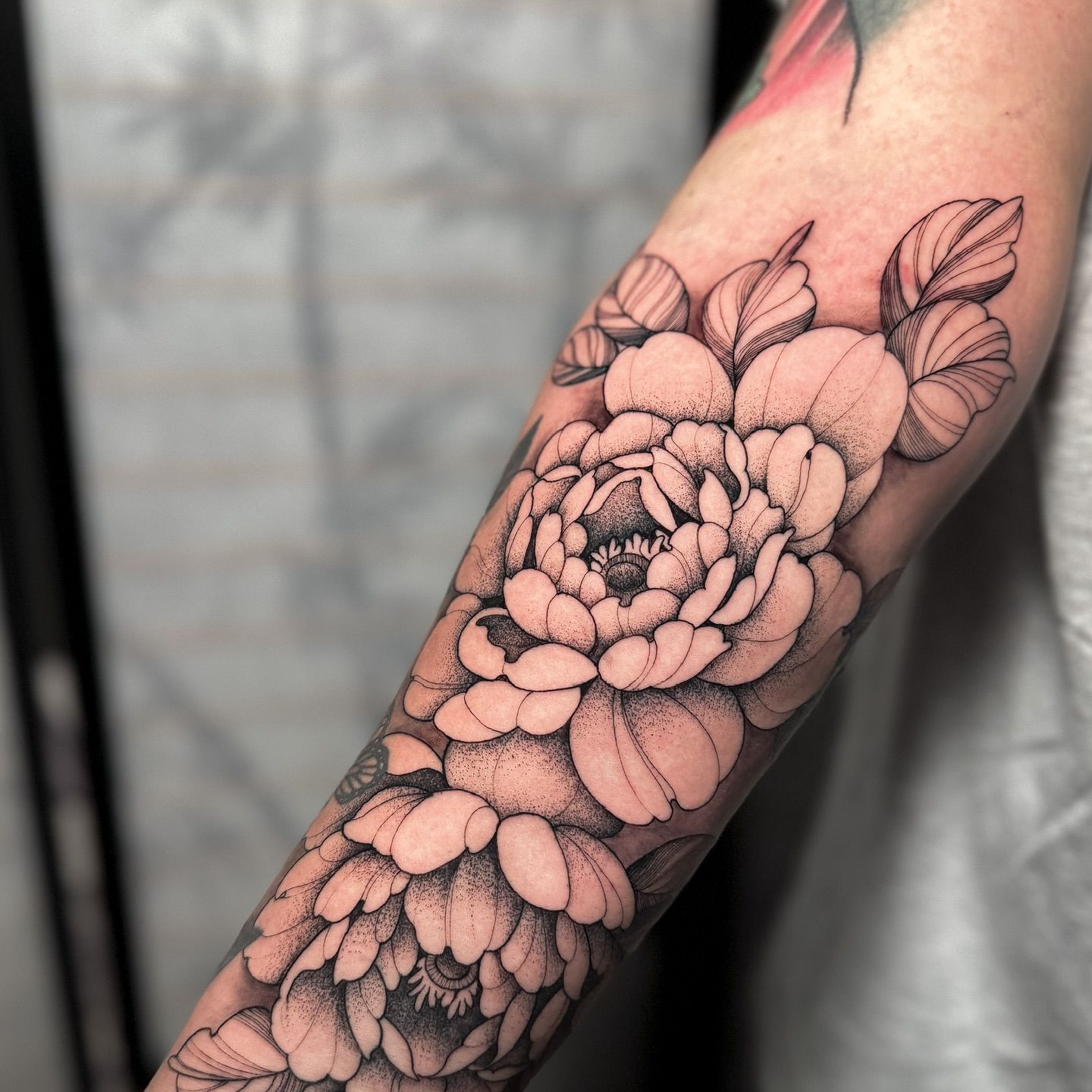 Black and white peony tattoo on a forearm.