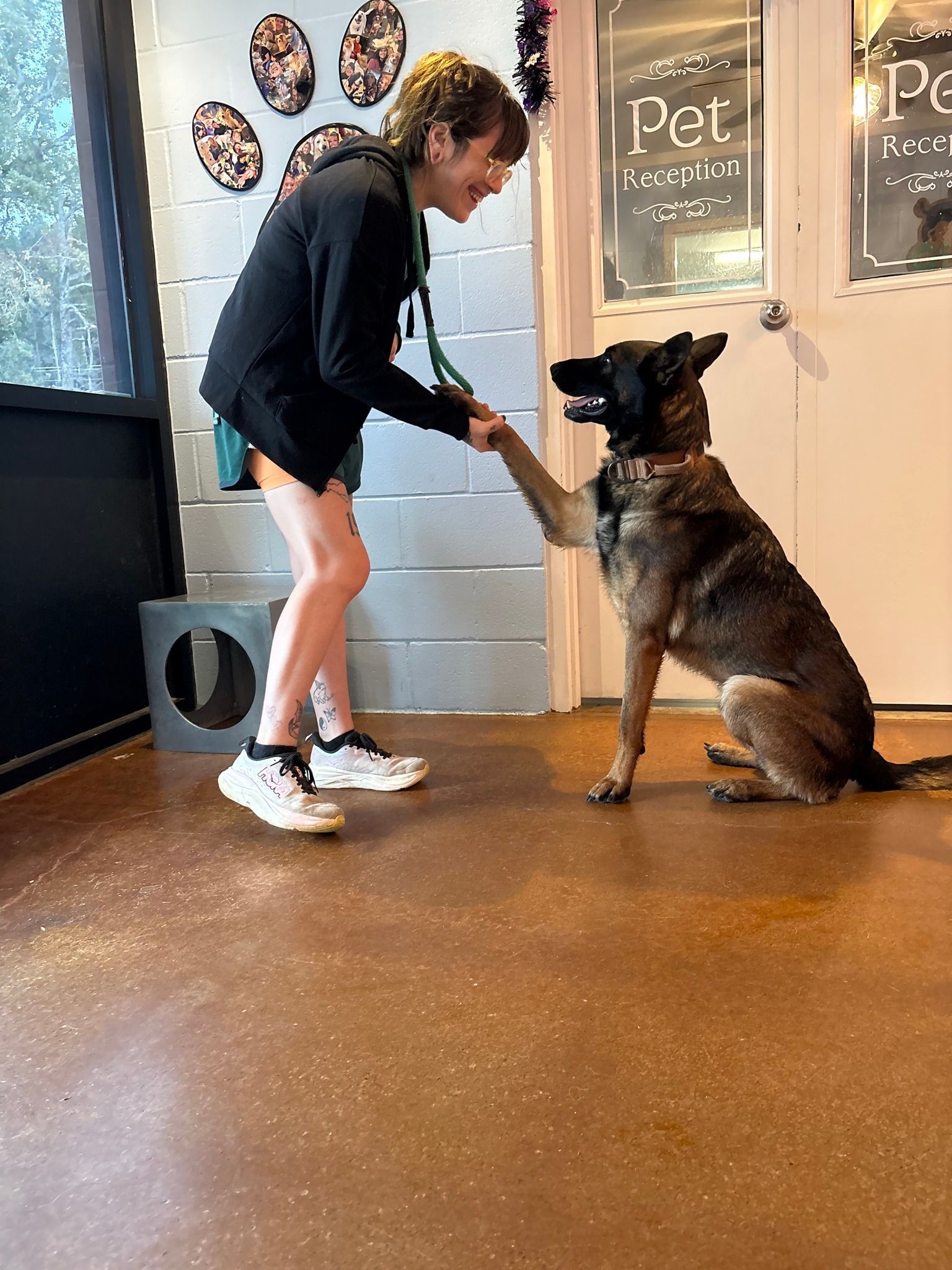 Woman gives a high-five to a dog in a pet shop. The dog sits up.