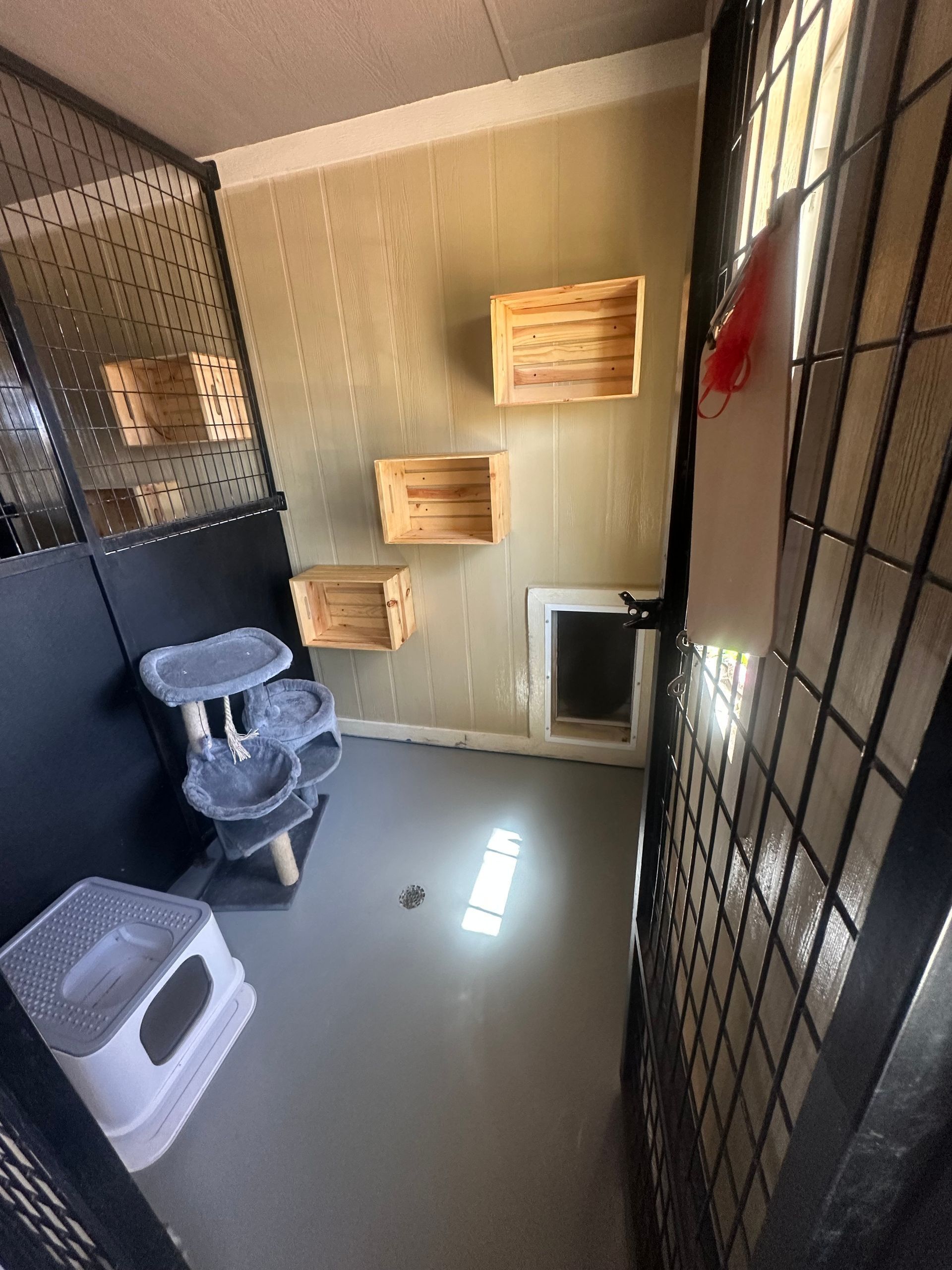 Cat enclosure with climbing shelves, cat tree, and litter box.
