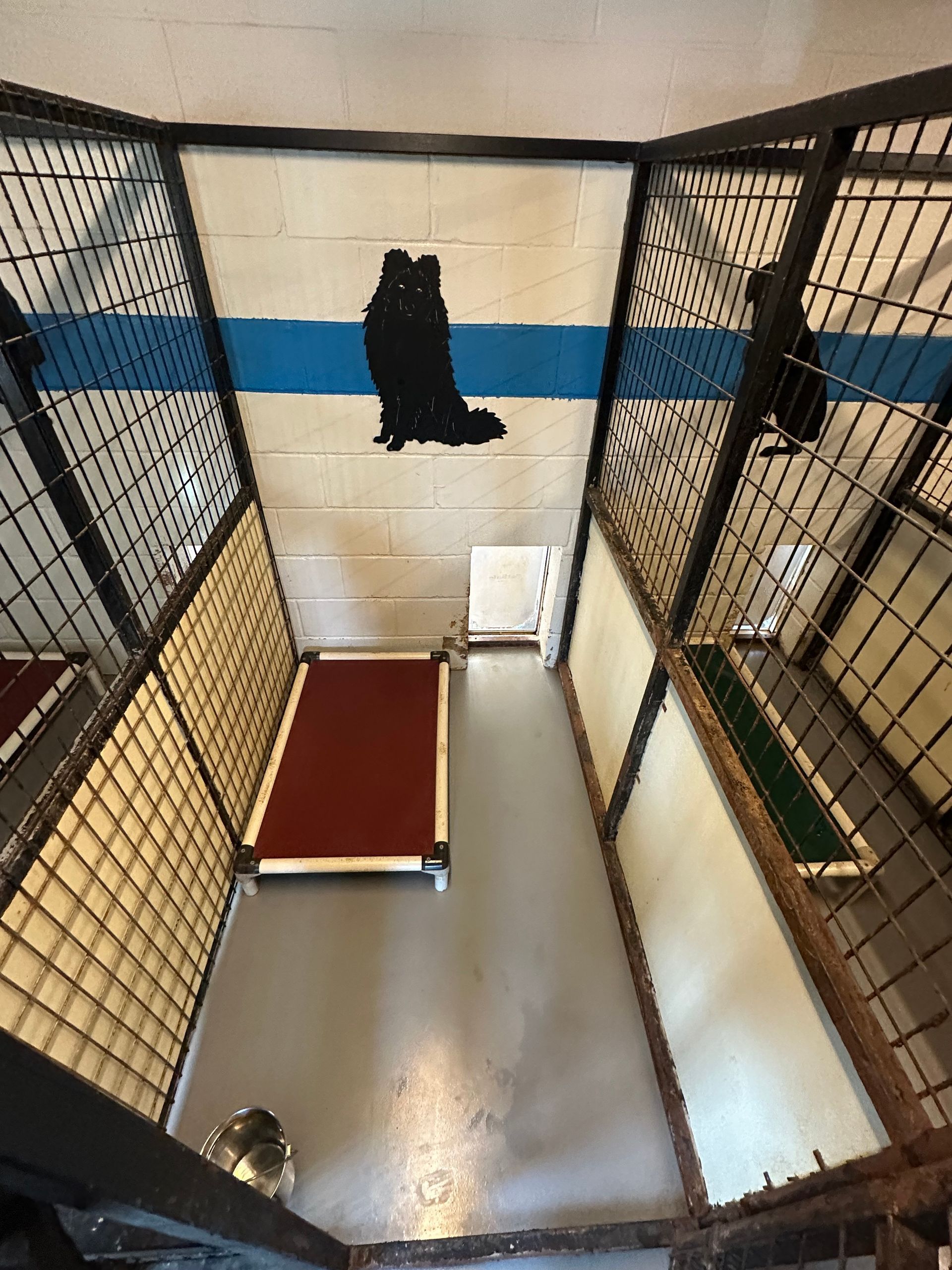 Dog kennel, overhead view: metal cages, dog silhouette art on wall, red and green dog beds.