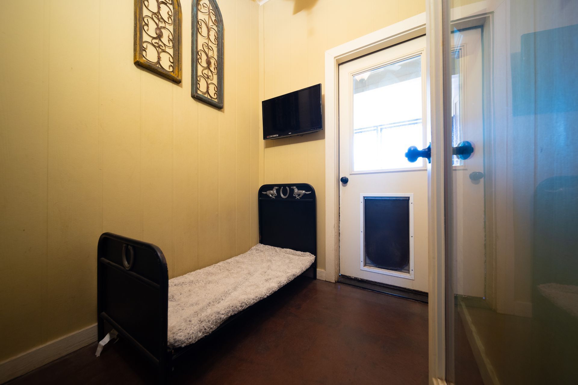 Small, narrow room with a black bed, door with pet flap, mounted TV, and decorative wall art.