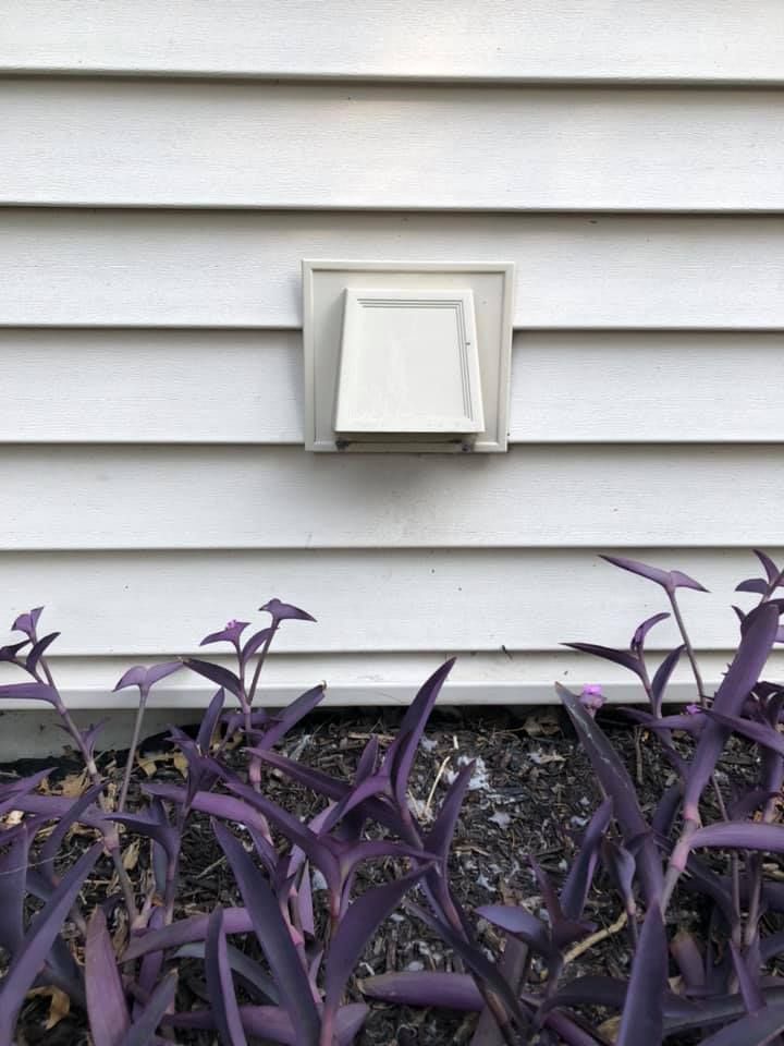 White dryer vent on white siding above purple plants.