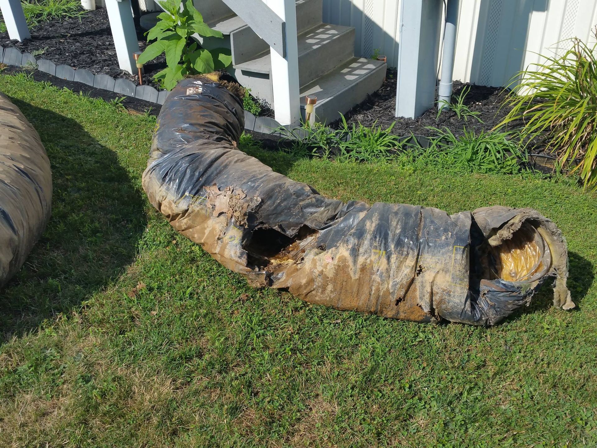 Damaged black flexible drainage pipe on green grass with a white structure in the background.
