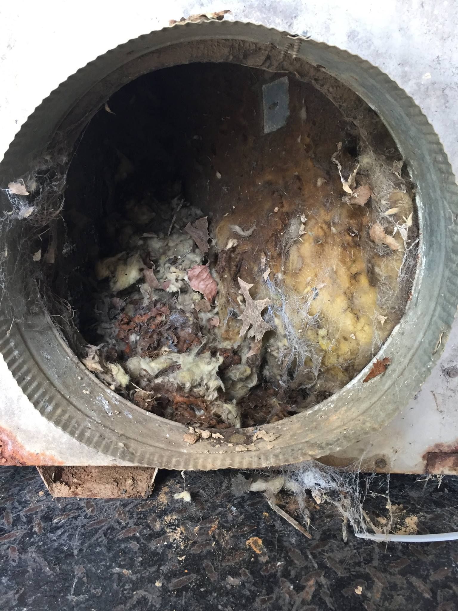 Dirty air vent interior filled with debris, insulation, and cobwebs.