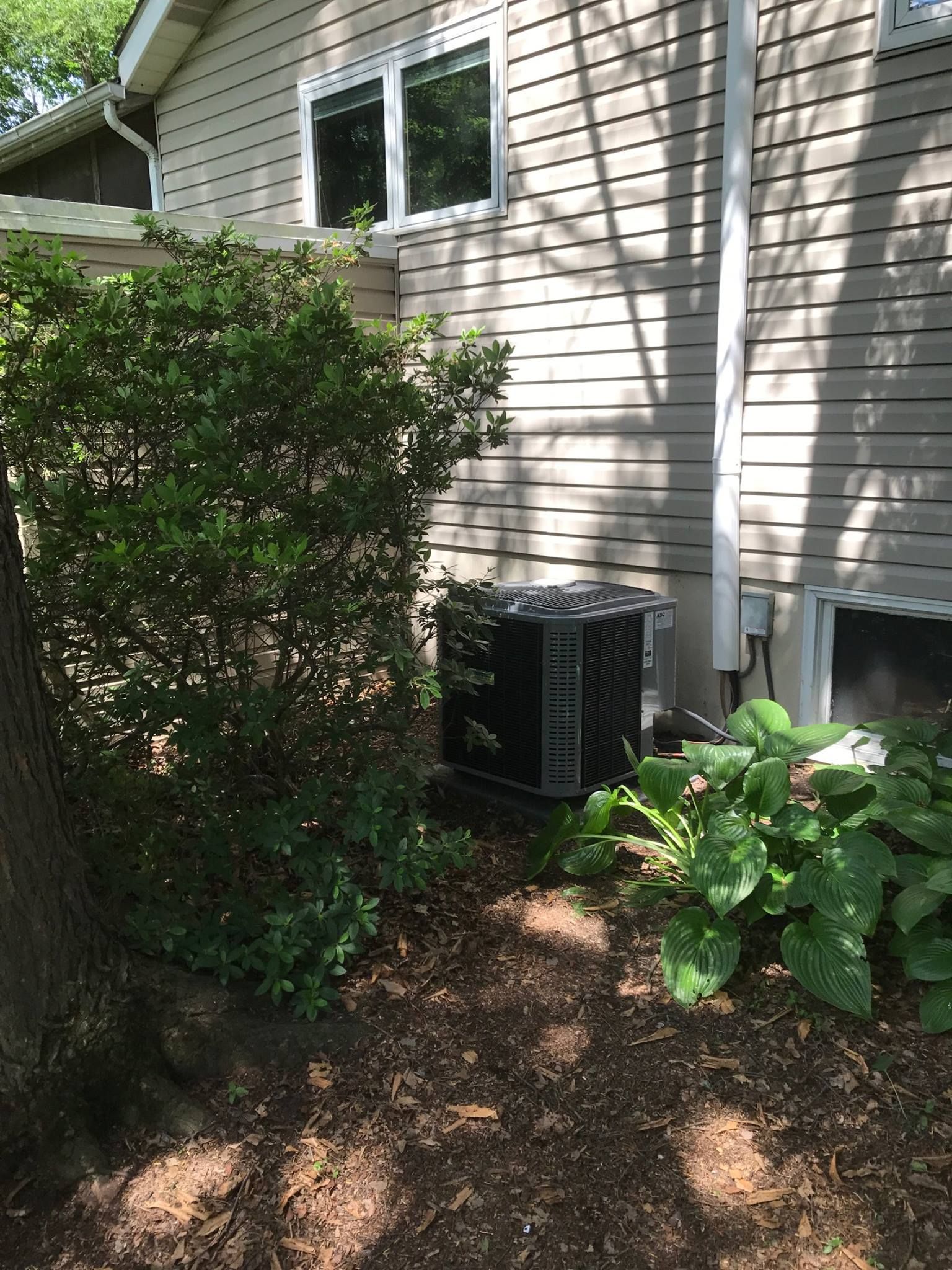 Air conditioning unit near a house, surrounded by bushes and mulch.