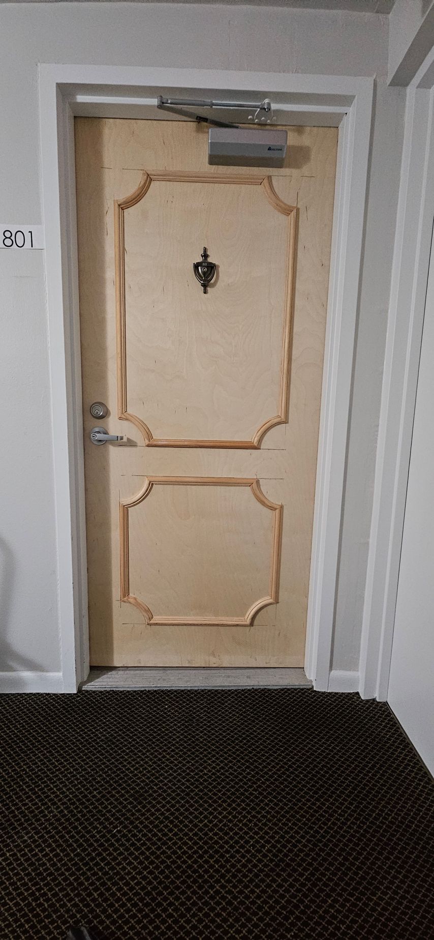 Apartment door with a dark rug, a door knocker, and the number 501.