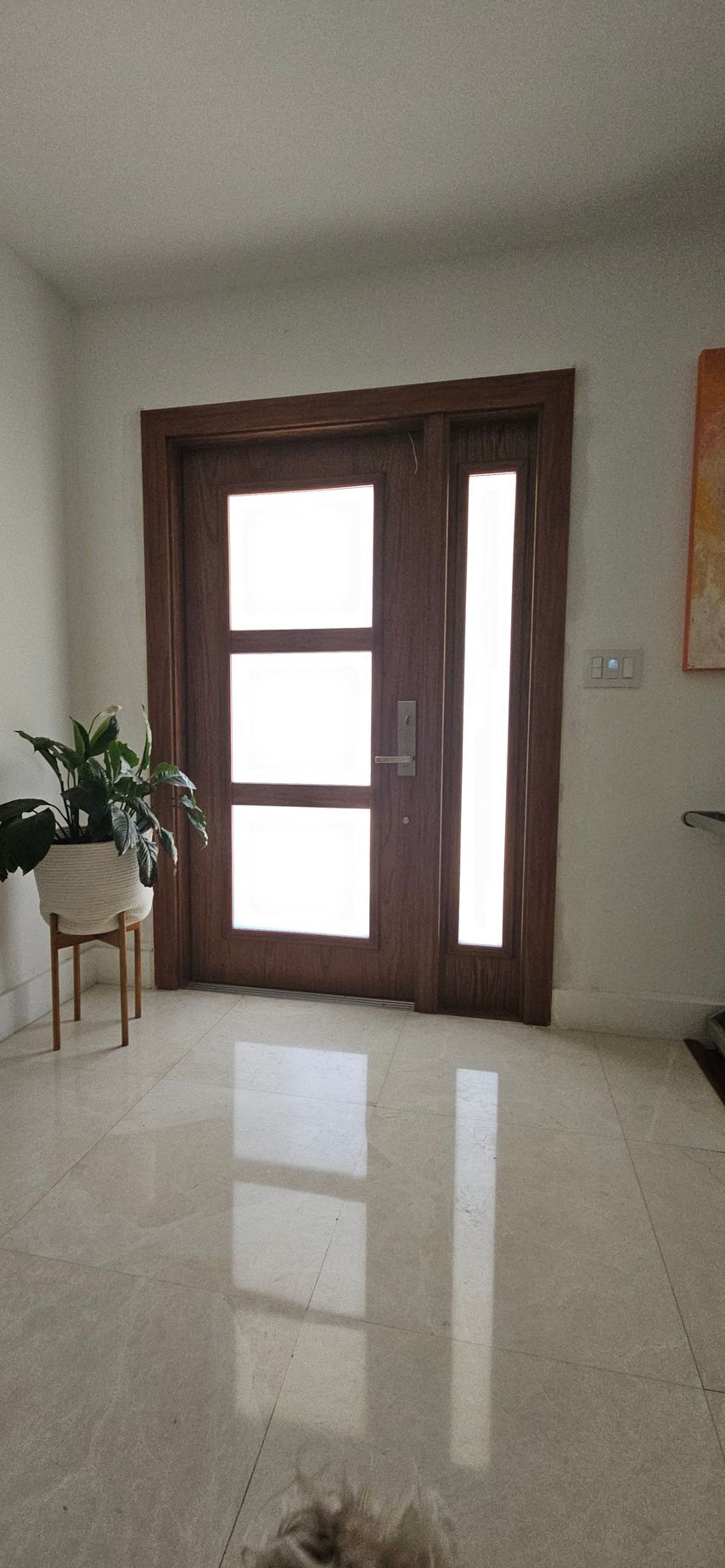 Wooden front door with glass panes and sidelight, indoor setting, marble floor, plant on a stand.