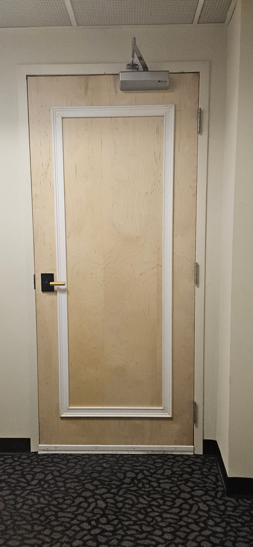 Closed wooden door with white trim, a metal handle, and automatic door closer. Dark carpeted hallway.