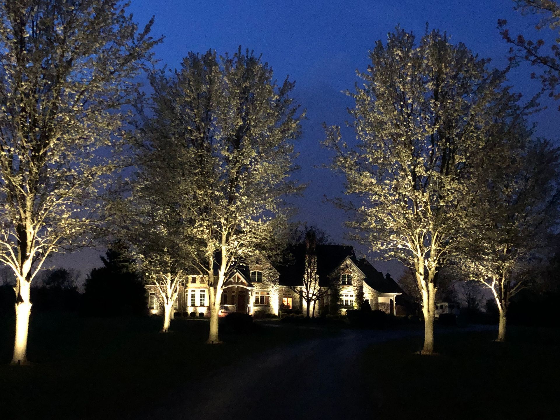 Trees illuminated with spotlights lead to a house at night, driveway in foreground.