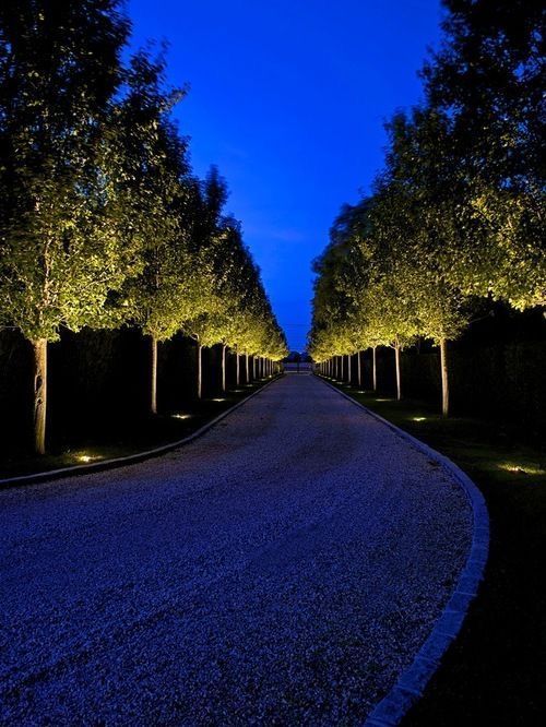 Gravel path lined with illuminated trees under a dark blue twilight sky.