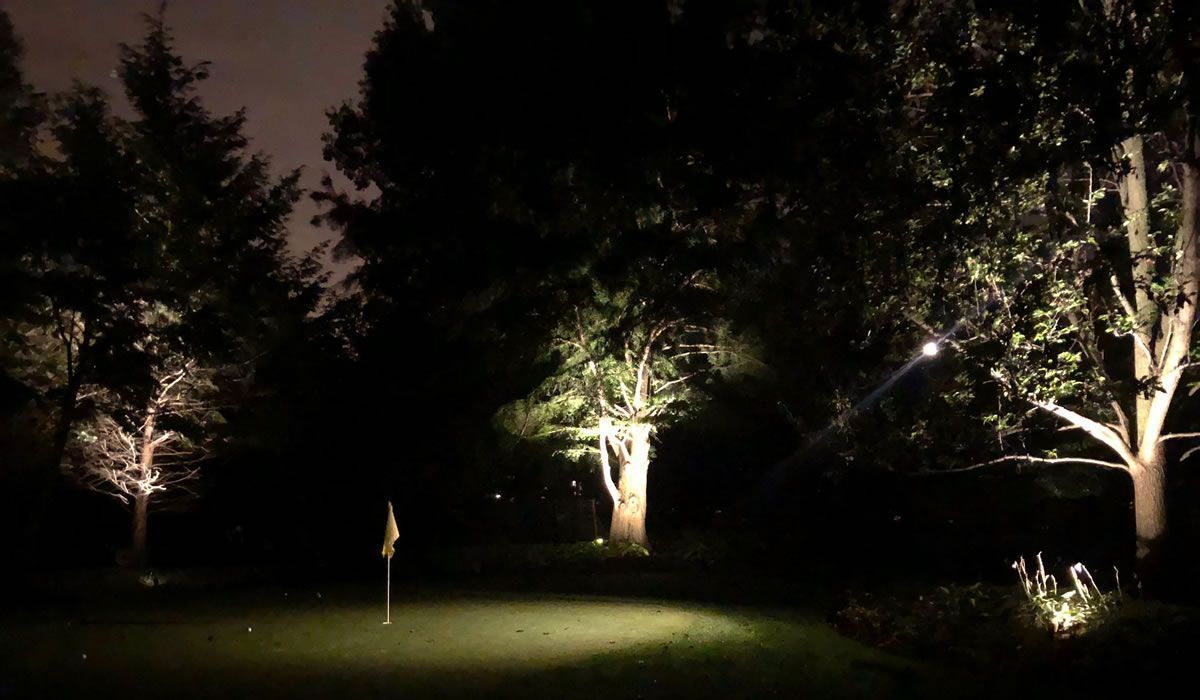Trees illuminated at night, casting light on a golf green.