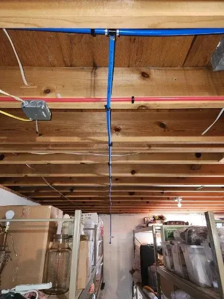 Blue PEX water pipes installed on a wooden basement ceiling, secured by black clips.