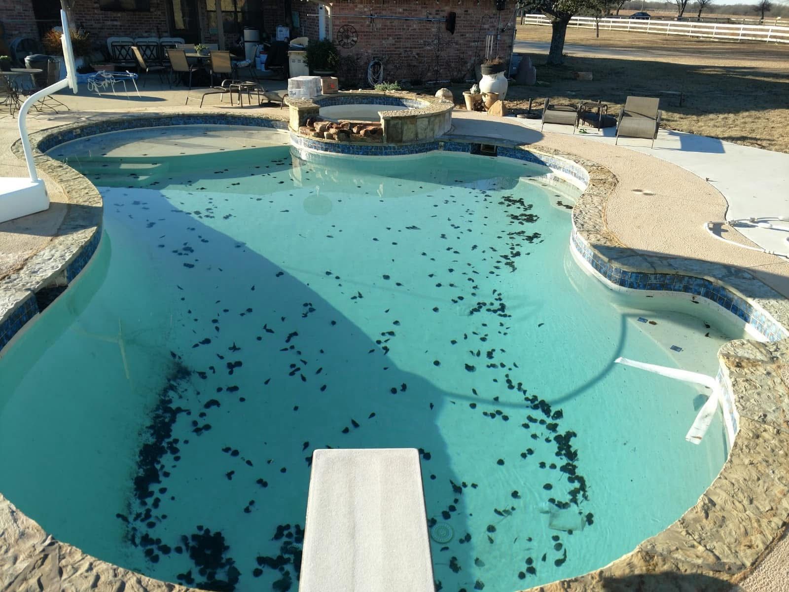 A large swimming pool with a diving board in the middle