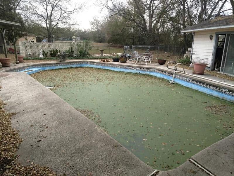 An empty swimming pool with green algae growing on it