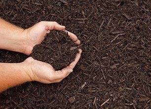 Mulch