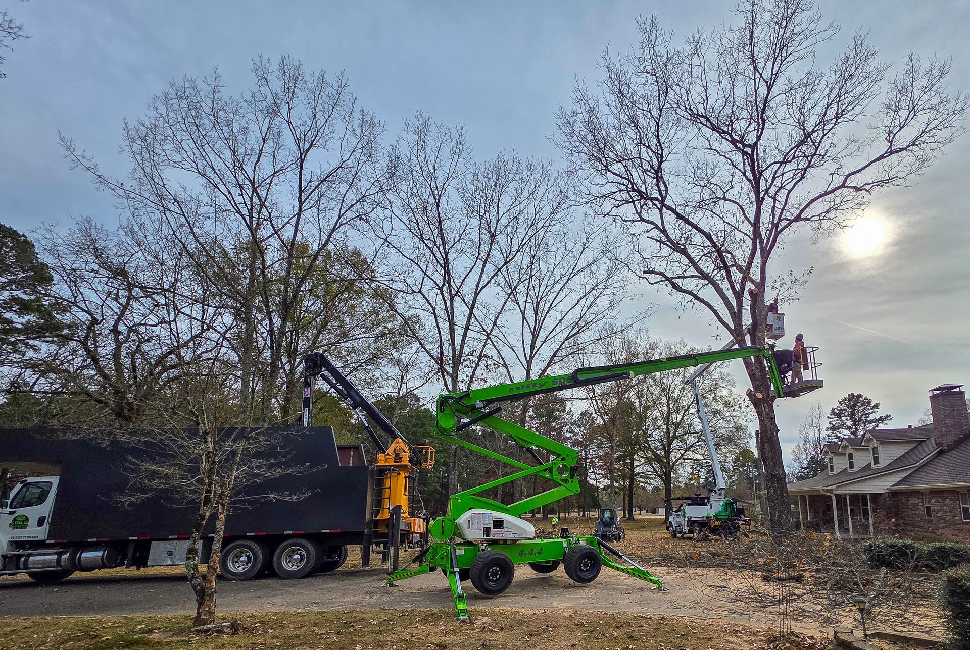 A worker in a bucket lift trims a tree, positioned next to a black dump truck in a yard near a house.
