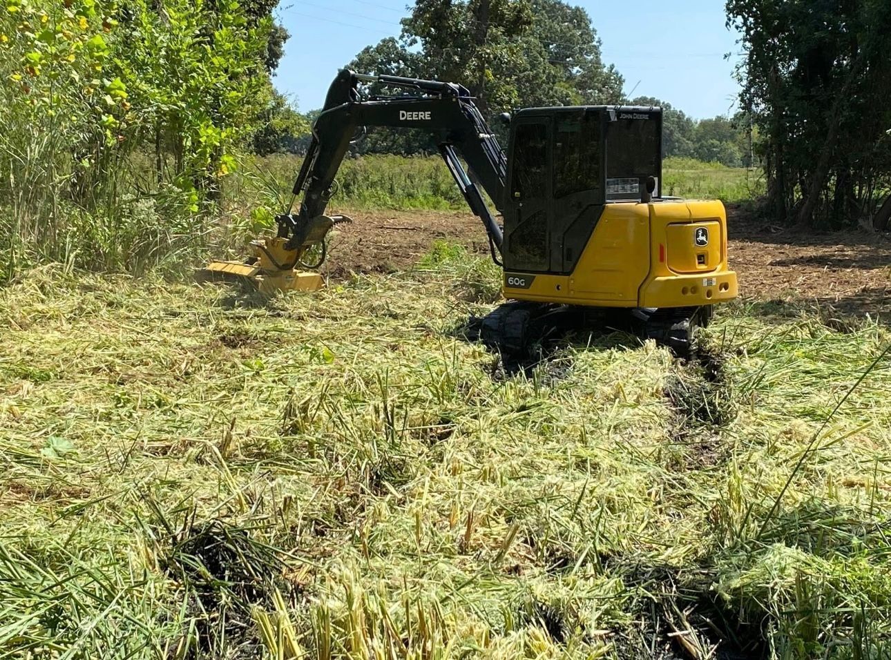 A yellow excavator with a mulching head clears tall vegetation in an outdoor, sunny field.