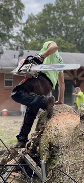A worker in high-visibility gear climbs over a large, cut tree log while carrying a chainsaw in a residential yard.