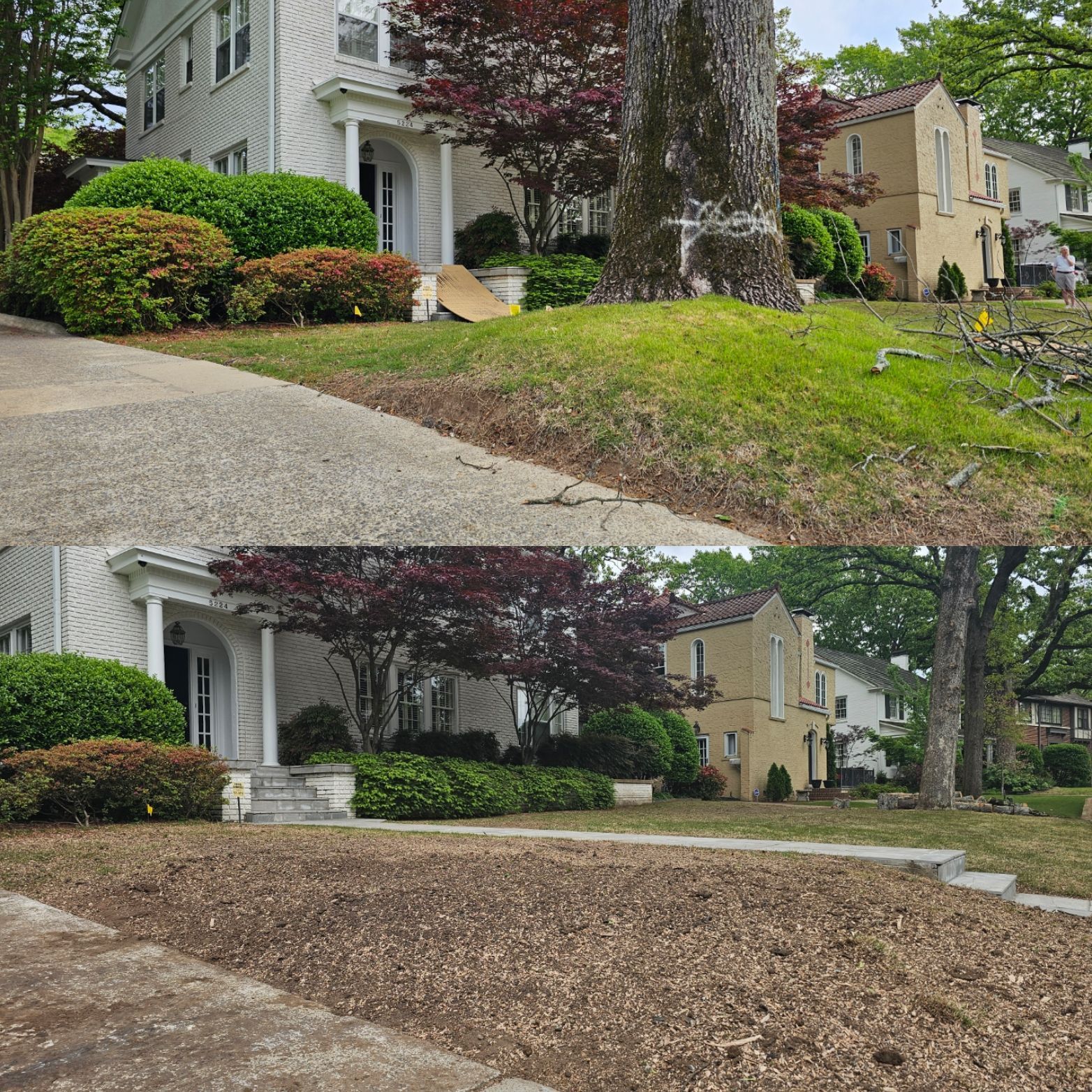 Before-and-after of front yards: lawn and tree debris cleared, revealing soil.