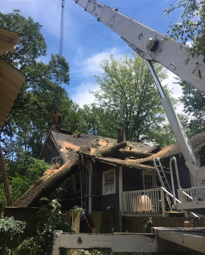 A crane lifting a tree off a house with roof damage; a worker stands on the roof. Blue sky, green trees.