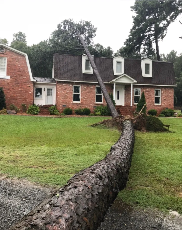 A fallen tree lays across the front yard of a red brick house.