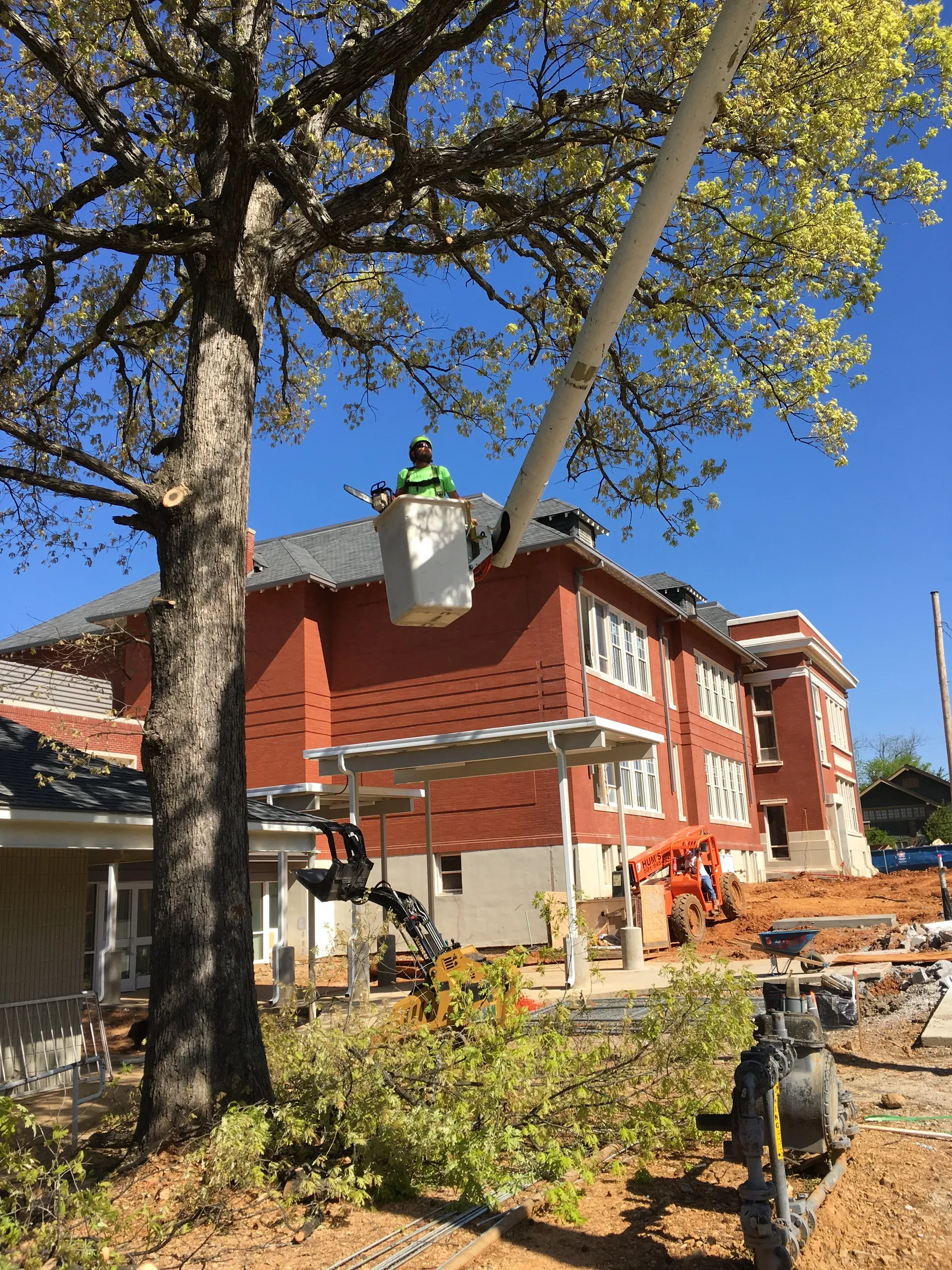 Man in lift trimming a tree next to a brick building under a blue sky. Construction equipment visible.