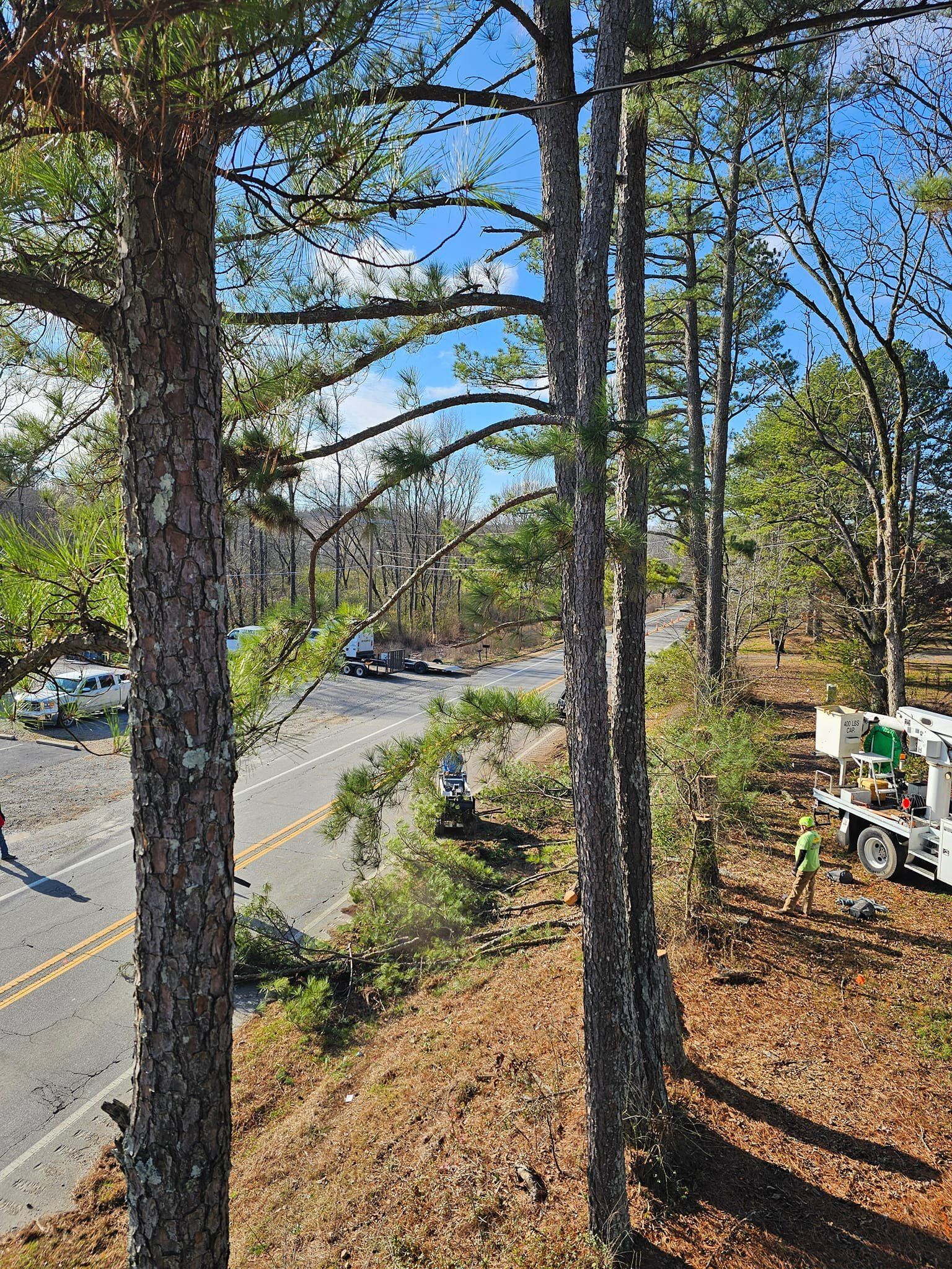 Road through a wooded area; trees flank a two-lane road; a truck and workers are visible in the distance.