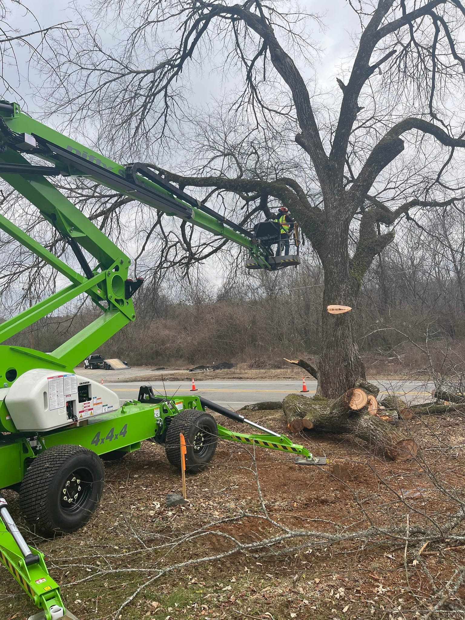 Green lift truck trimming a tree. Person in bucket wearing yellow. Outdoors, daylight.
