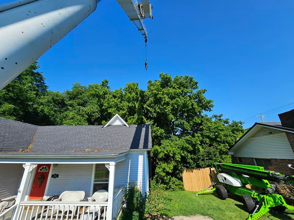 Crane over a house removing a branch; green trees and sunny blue sky.