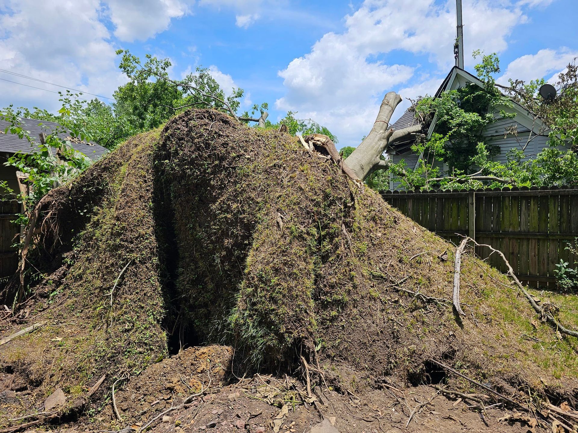 A large pile of dirt and debris in a yard; a tree trunk lies on top; sky and fence in the background.