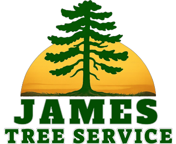James Tree Service