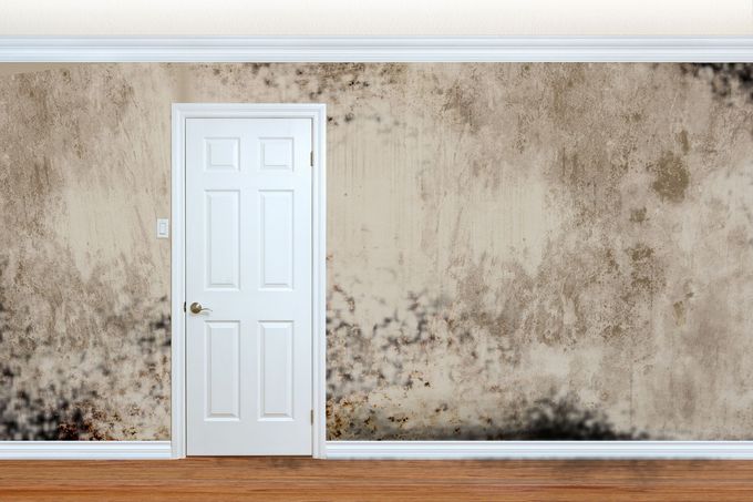 Mold Abatement Contractors