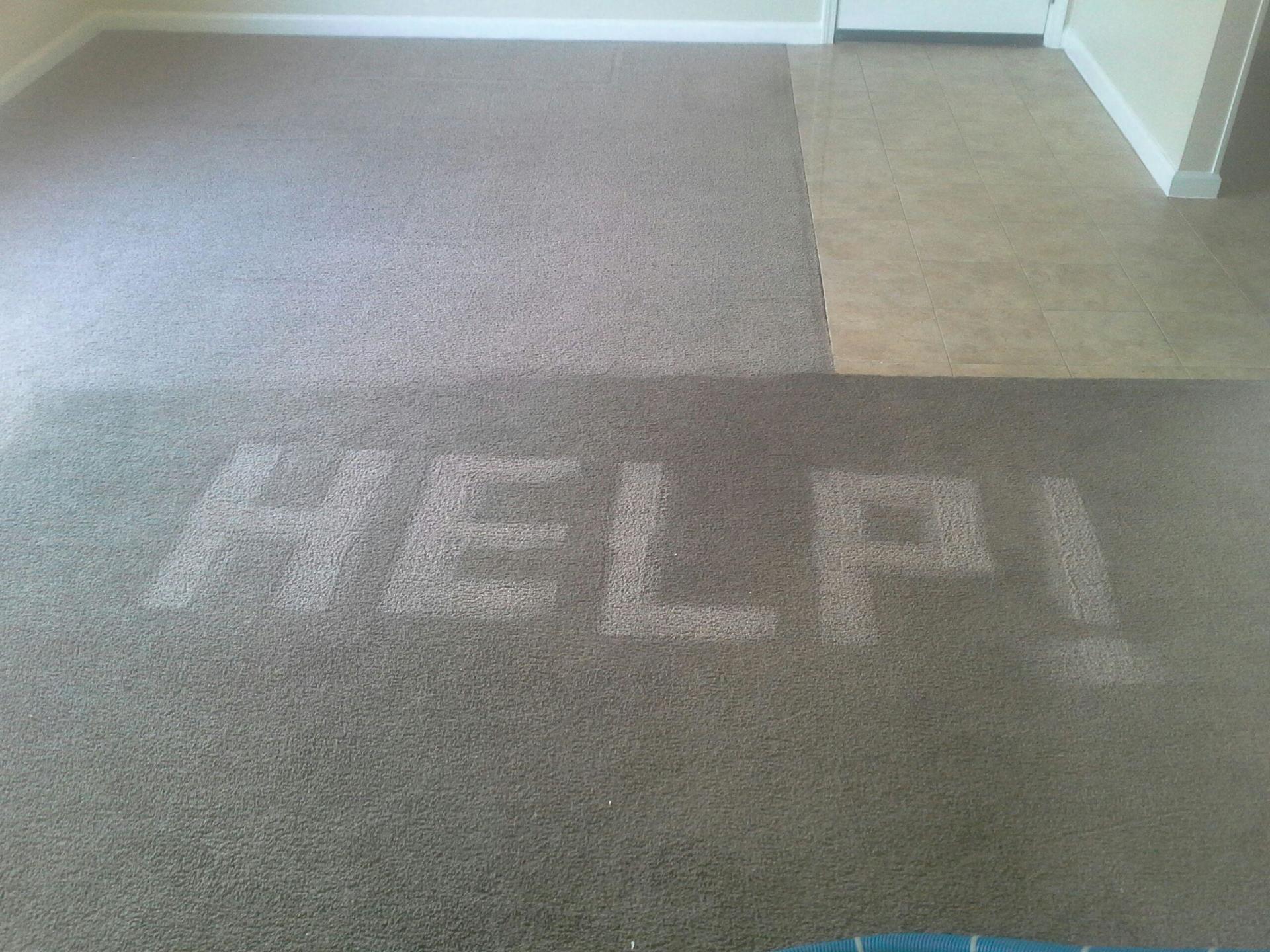 Carpet Cleaning