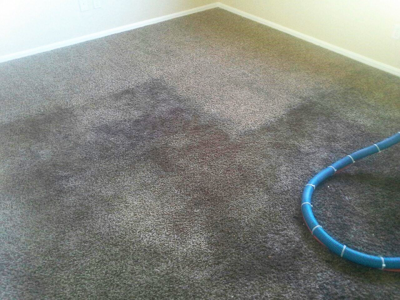 Carpet Cleaning