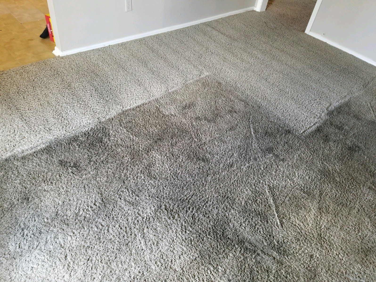 Carpet Cleaning