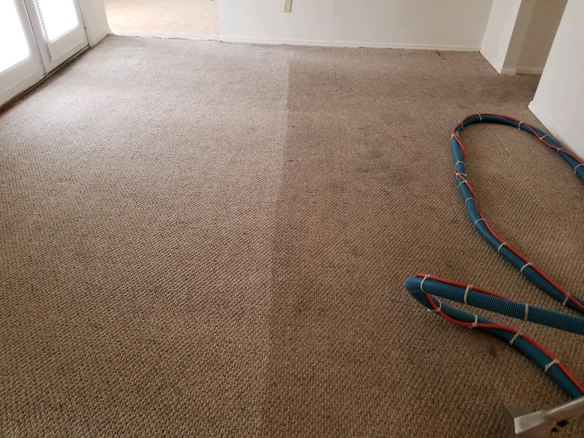 Carpet Cleaning