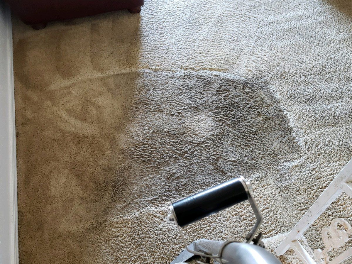 Carpet Cleaning