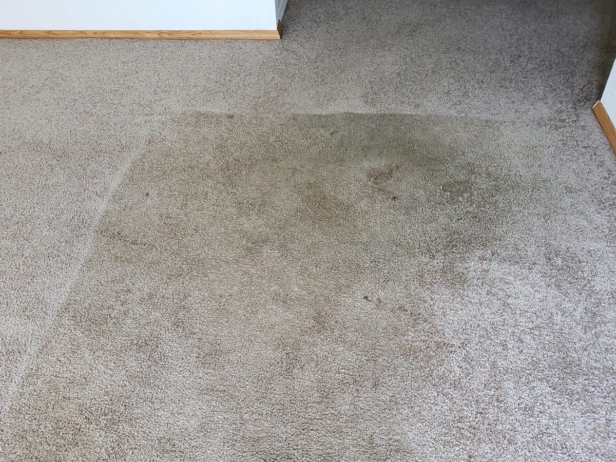 Carpet Cleaning