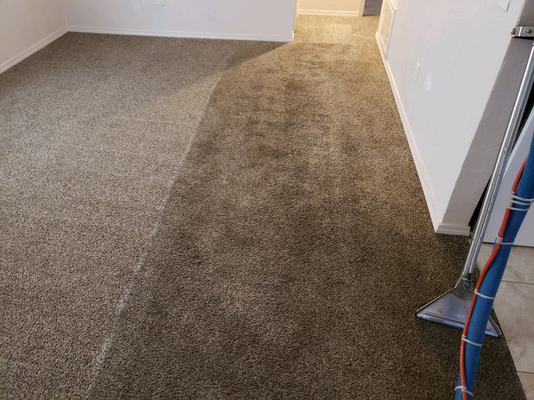Carpet Cleaning