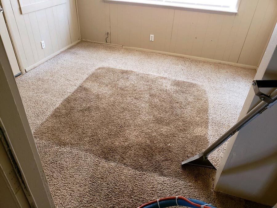 Carpet Cleaning