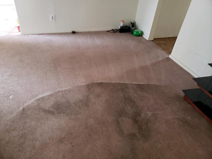 Carpet Cleaning