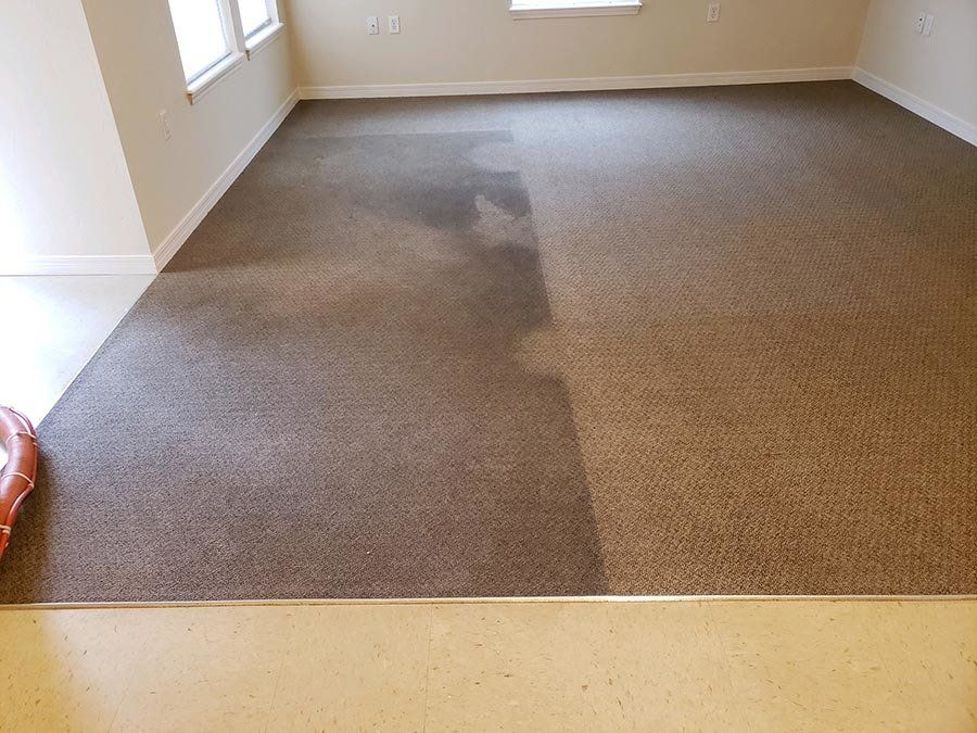 Carpet Cleaning