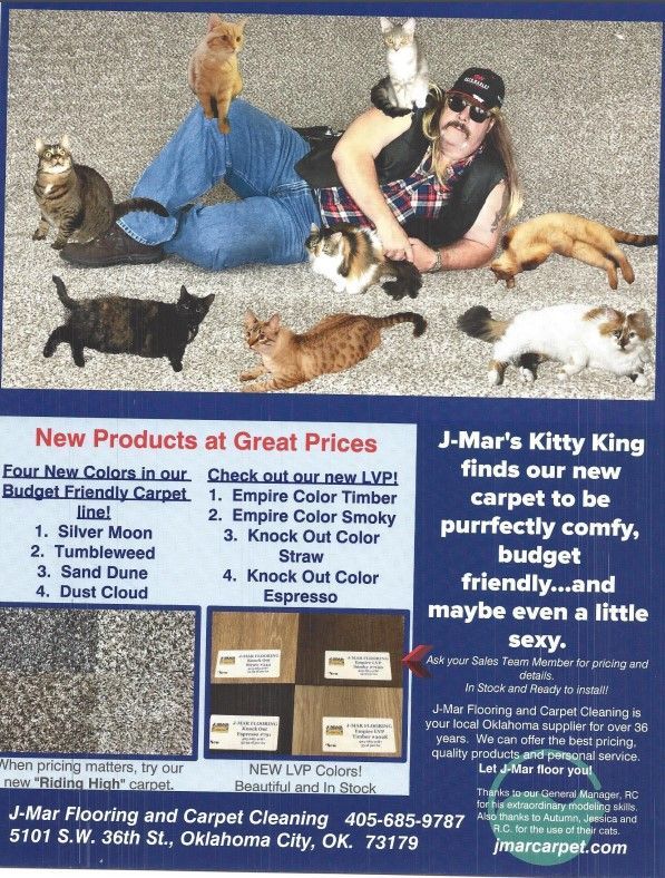 Kitty-King-Flyer