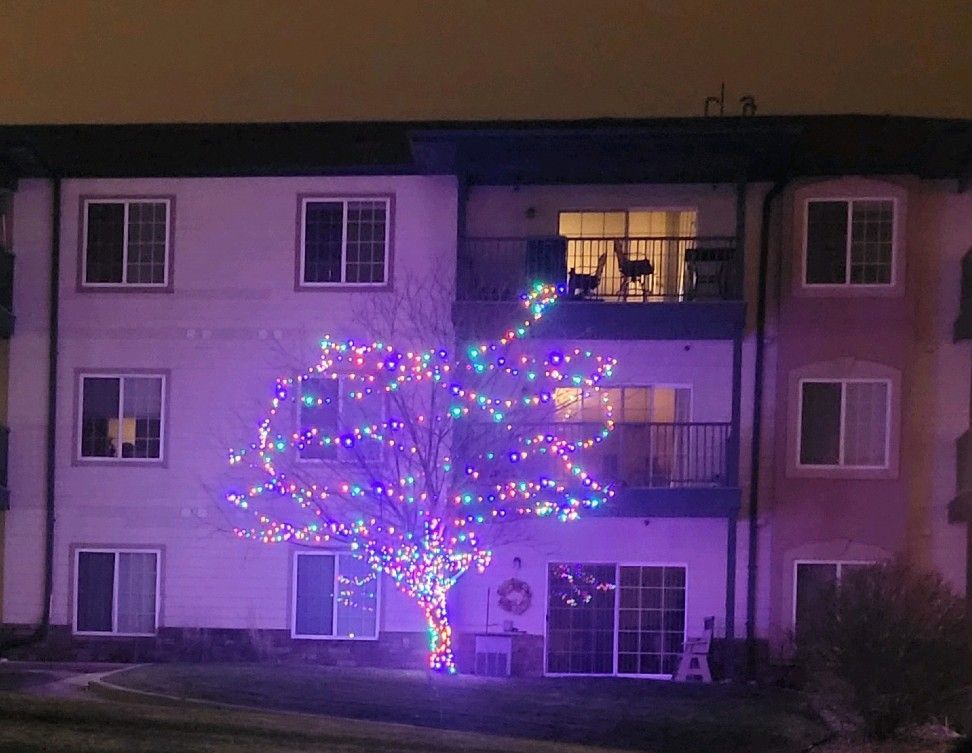 A christmas tree is lit up in front of a building at night.