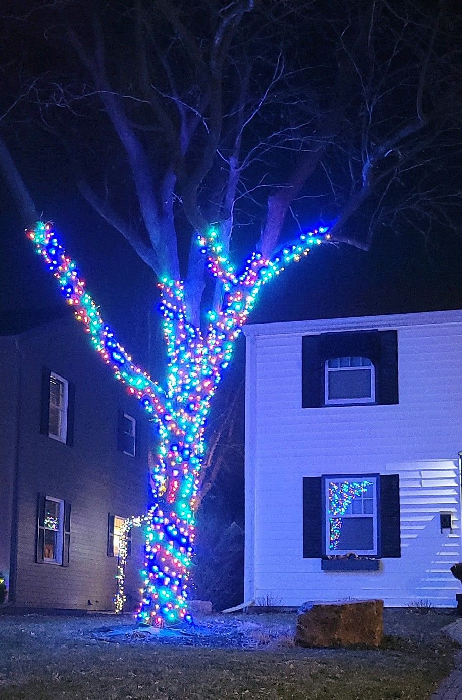 A tree is decorated with christmas lights in front of a house.