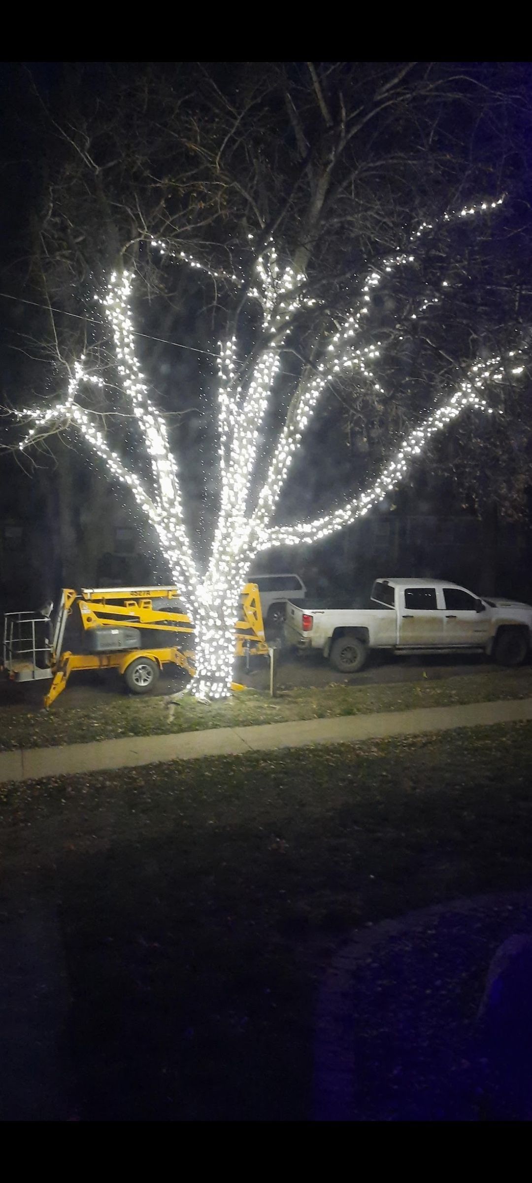 A truck is parked next to a tree with christmas lights on it.