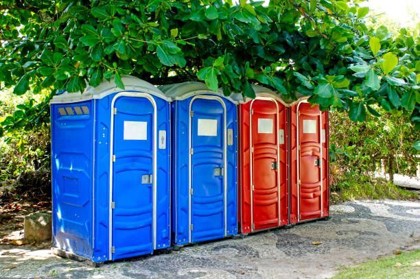 A row of blue and red portable toilets are lined up under a tree.