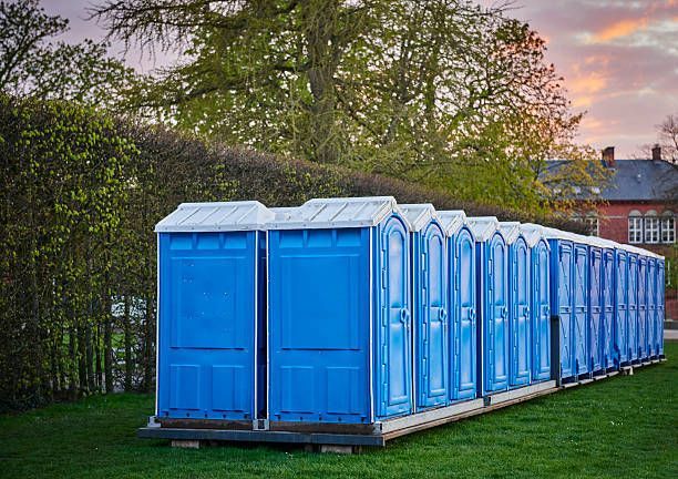 A row of blue portable toilets are lined up in a grassy field.