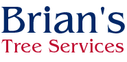 Brian's Tree Services - Logo