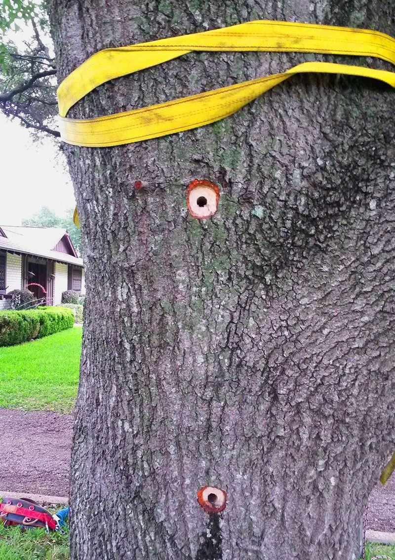 Split tree prevention and repair